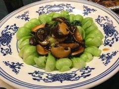 -蔡阿水羊肉店