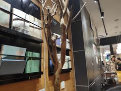 -茶颜悦色(平和堂负一楼店)