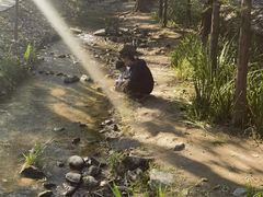 -白水寺森林公园