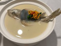 白汁河豚-肆月河豚·新淮扬(金融街店)