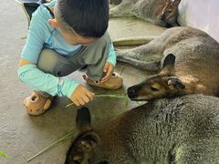 -西霞口神雕山野生动物世界