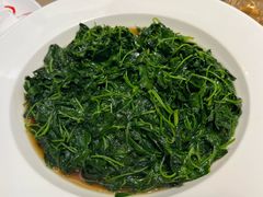 -圆苑(金茂店)