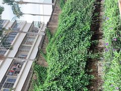 -铁路文化公园