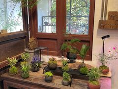 -植觉