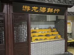-游龙石文化科普馆