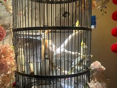 -清真·京华源铜锅涮肉(丰庆店)