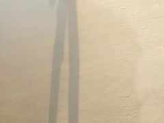 -玫瑰海岸文化旅游度假区