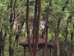 -青龙山国家森林公园
