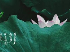 -蠡湖大桥公园