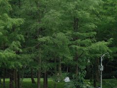 -人民公园(罗湖区)