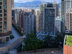 -香港大学
