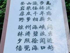 -海口火山口国家地质公园