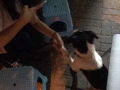 -老徐烧烤涮肚(交道口店)
