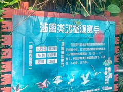 -深圳野生动物园