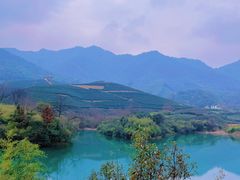 -龙坞茶村