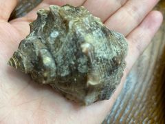 -抹直口特色菜馆(一店)