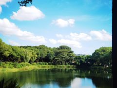 -金银湖国家城市湿地公园