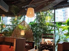 -大头椰·椰子鸡火锅(南宁万象城店)