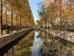 -同济大学(地铁站)