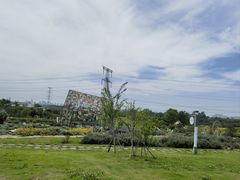 -紫颐香薰山谷景区