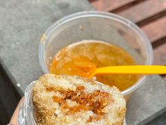 -范嬢嬢春森路糯米团