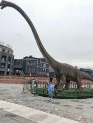 -恐龙探索乐园(磁器口店)