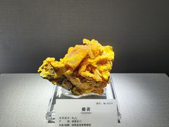 -湖南省地质博物馆