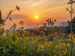 -西南政法大学(渝北校区)