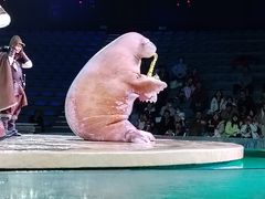 -哈尔滨波塞冬海底世界