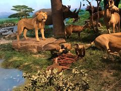 -国家自然博物馆