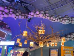 -烟台海昌鲸鲨海洋公园