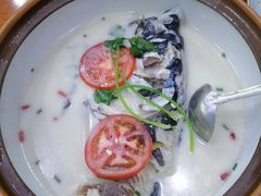 -全乐鱼馆·淳牌有机鱼直营店