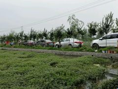 -同銮特种养殖场·龙虾垂钓