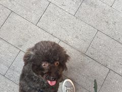 -北京观赏动物医院·24小时大型综合·猫专科·异宠专科