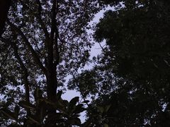 -成都市活水公园