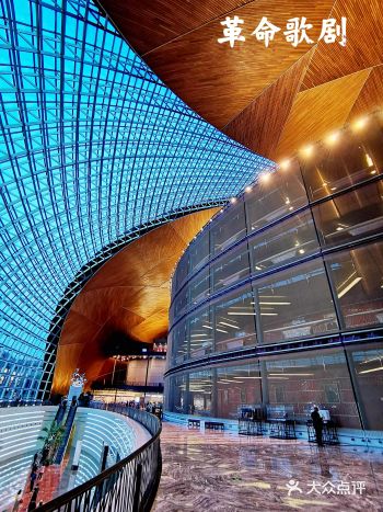 疫情复发,难得还有剧院在正常演出,看到大麦上有《洪湖