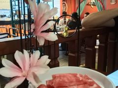 -禧鳳記·猪肚鸡火锅(玖洲道店)