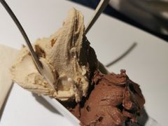 -野人牧坊Gelato(天津南开大悦城店)