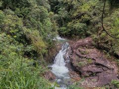 -广州白江湖森林公园