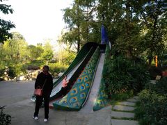 -成飞公园