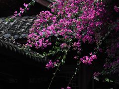 -成都杜甫草堂博物馆