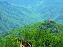 -大岭沟猕猴桃谷风景区