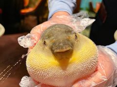 -肆月河豚·淮扬菜·湘菜(华天店)