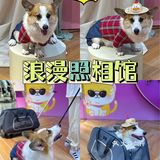 茂业百货萌宠无限丨ta们陪你过
