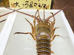 -蚝得喜海鲜(东城店)
