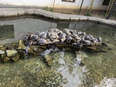-红螺寺