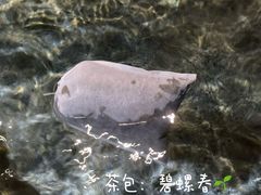 -明谷行馆·温泉