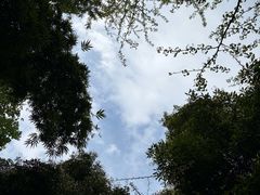 -凤栖山
