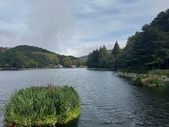 -庐山风景区花径公园
