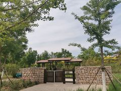 -张家湾公园